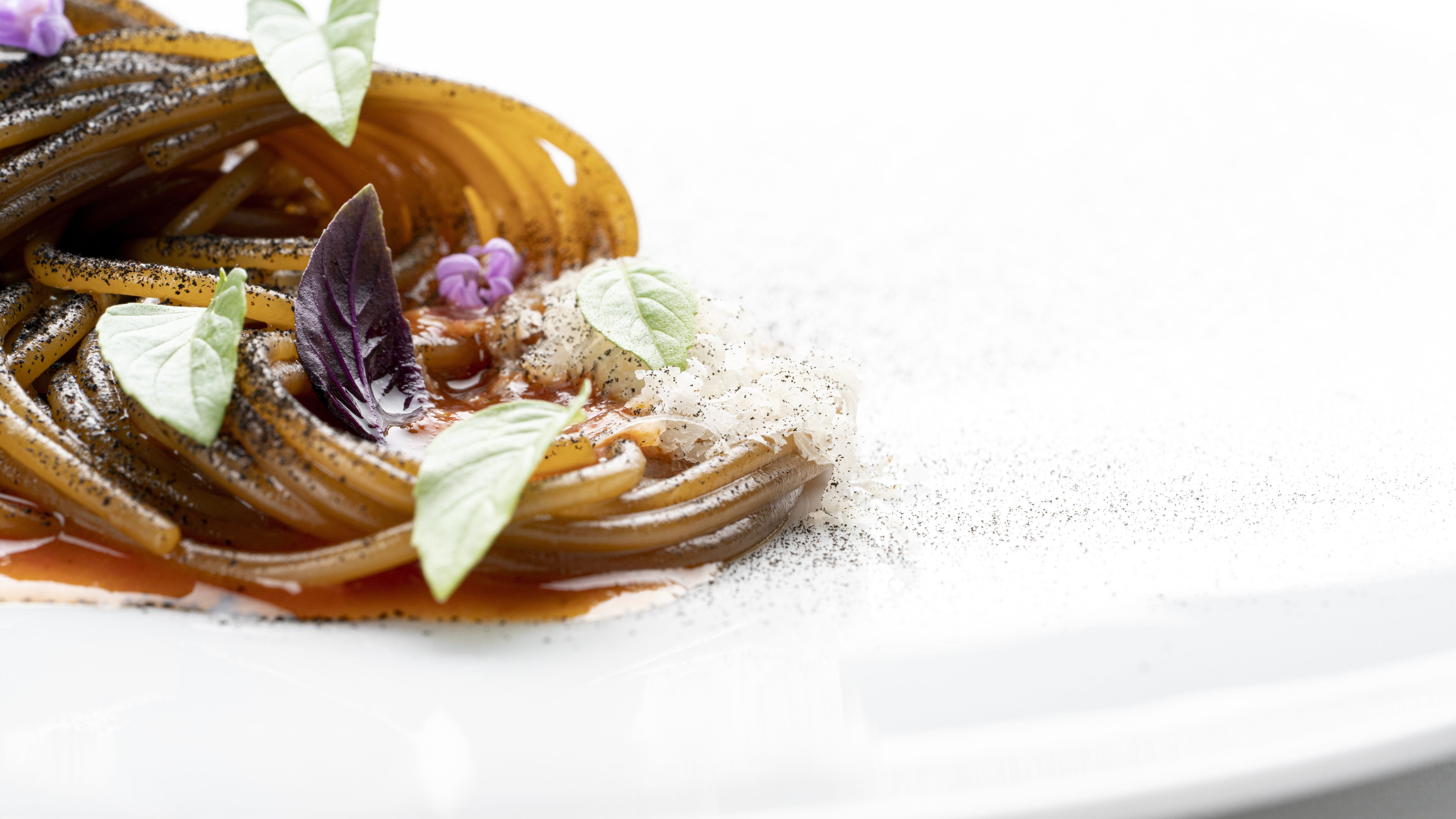 spaghetto-michelangelo-mammoliti