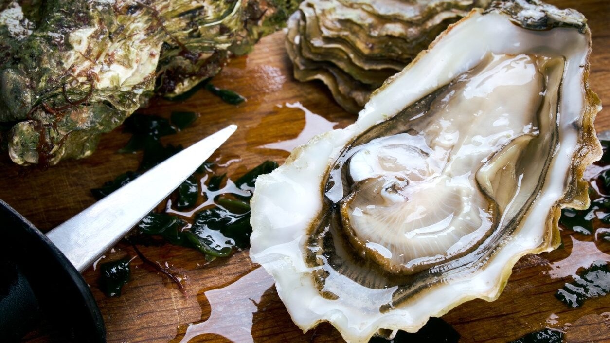 allarme-ostriche-francia