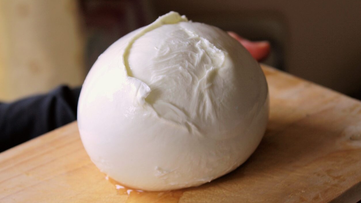mozzarella-di-bufala