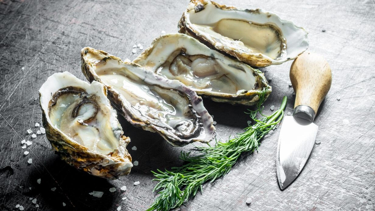 ostriche-oyster-oasis-corrado-tenace