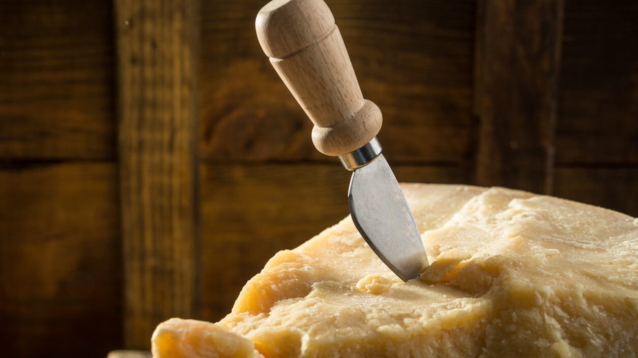 parmigiano-parmesan