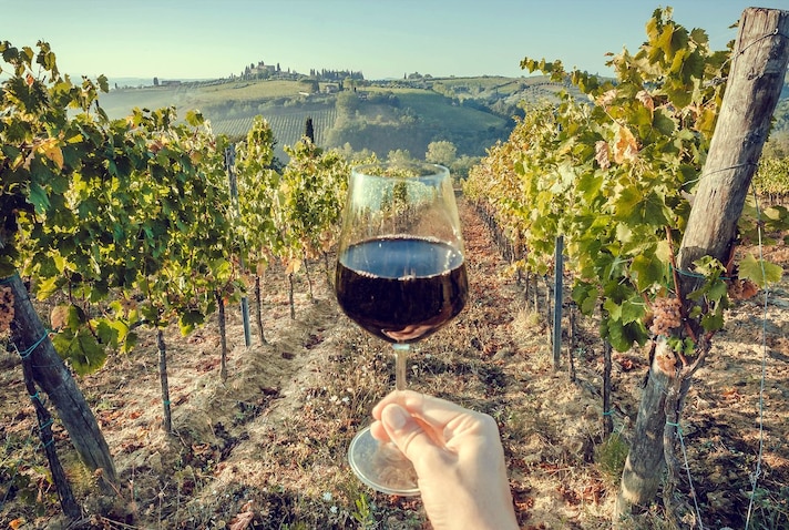 dop-economy-vino