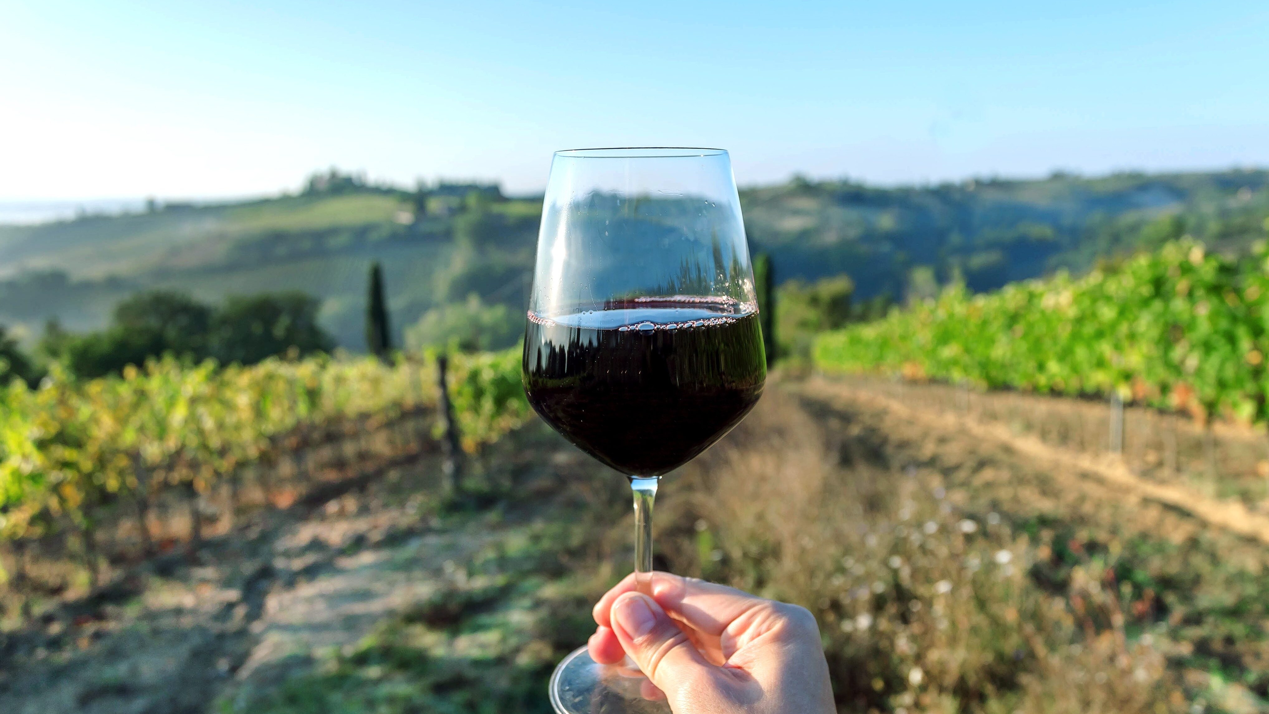 Con B.e.v.i il vino si fa arte: su Sky l'appuntamento dedicato all'enologia italiana