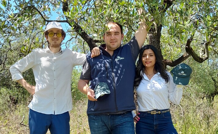 adotta un olivo progetto ager oliva toscana