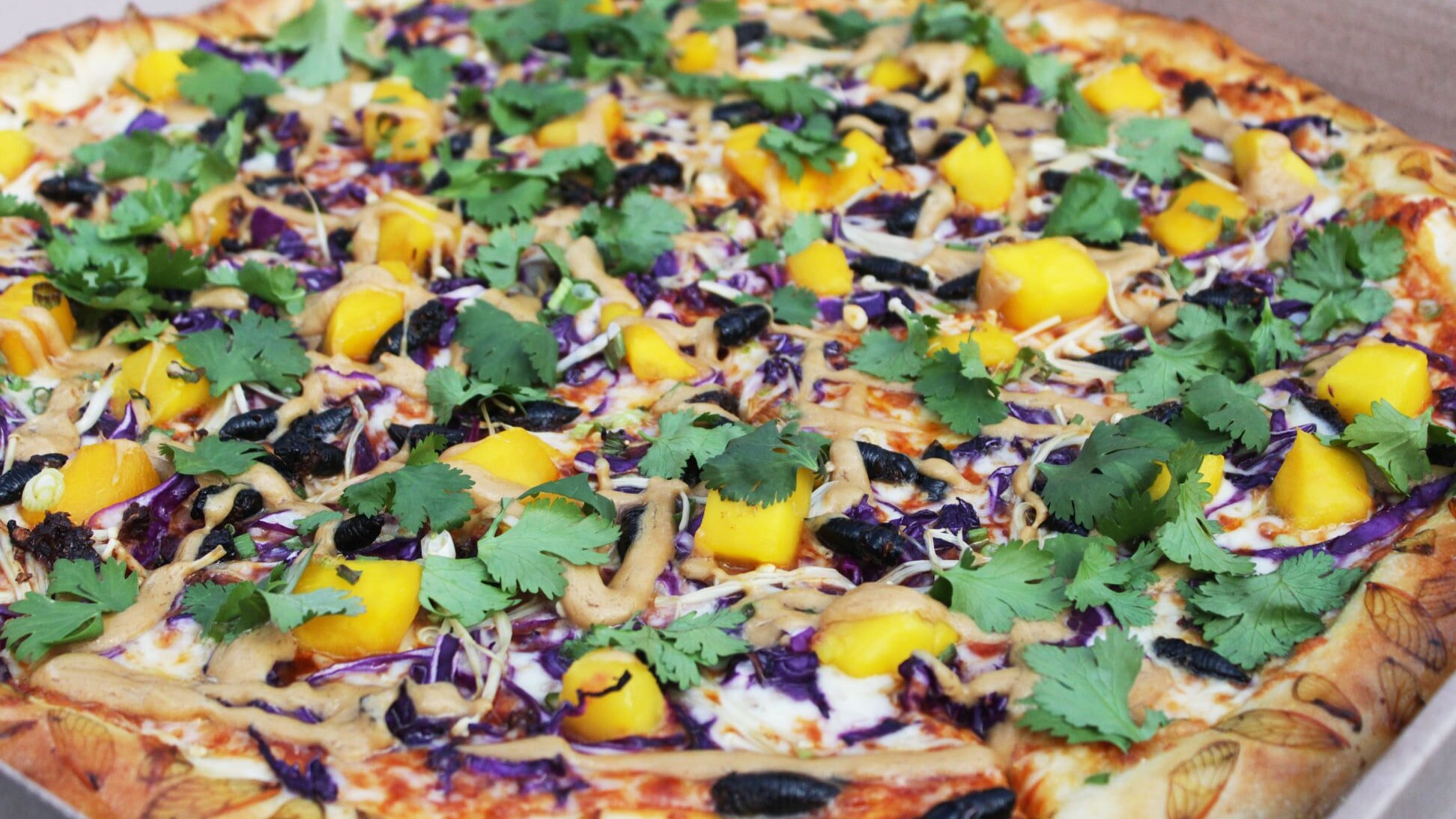 pizza con le cicale Stati Uniti