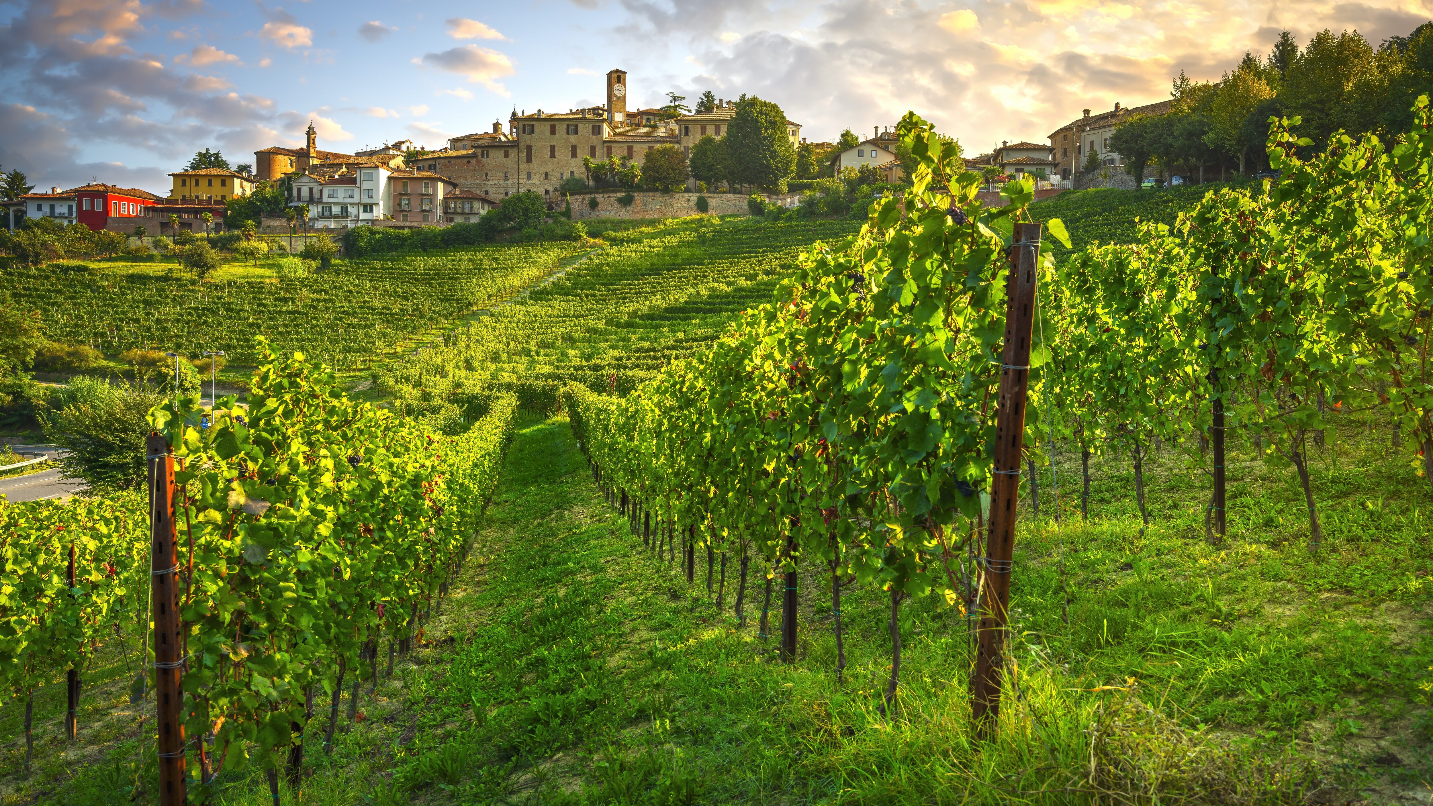 le mani in pasta Piemonte langhe film