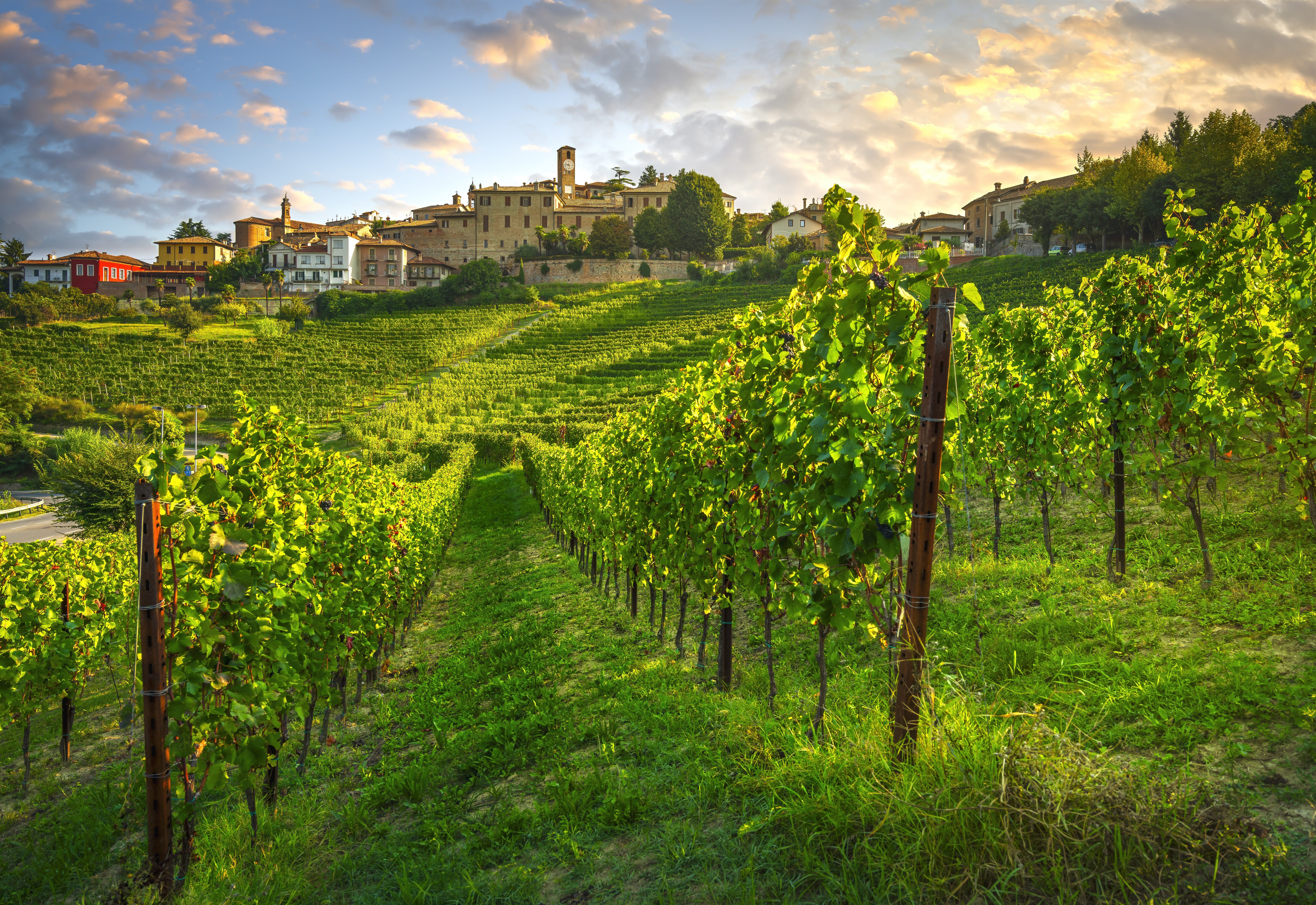le mani in pasta Piemonte langhe film