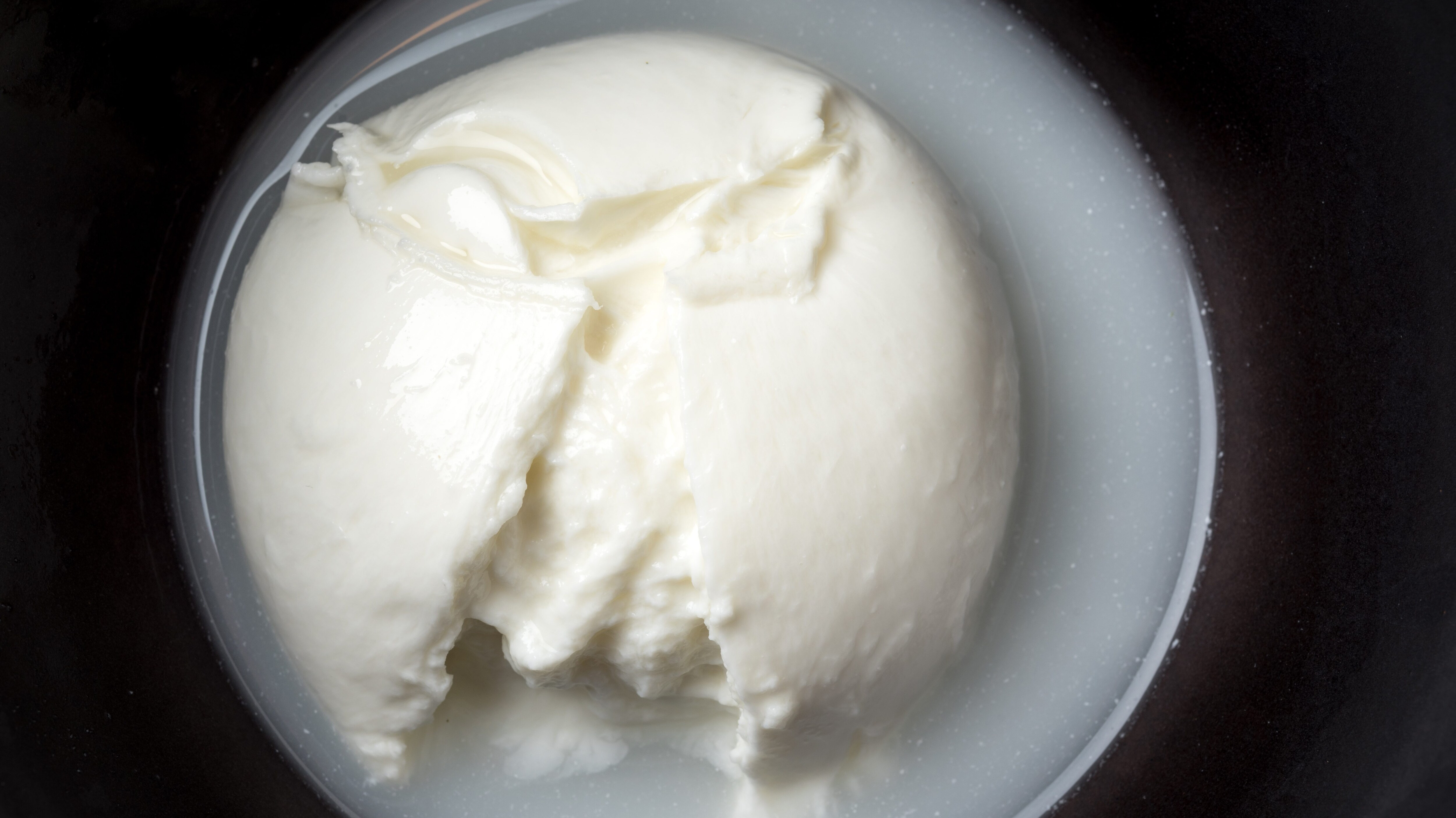 museo mozzarella di bufala Battipaglia