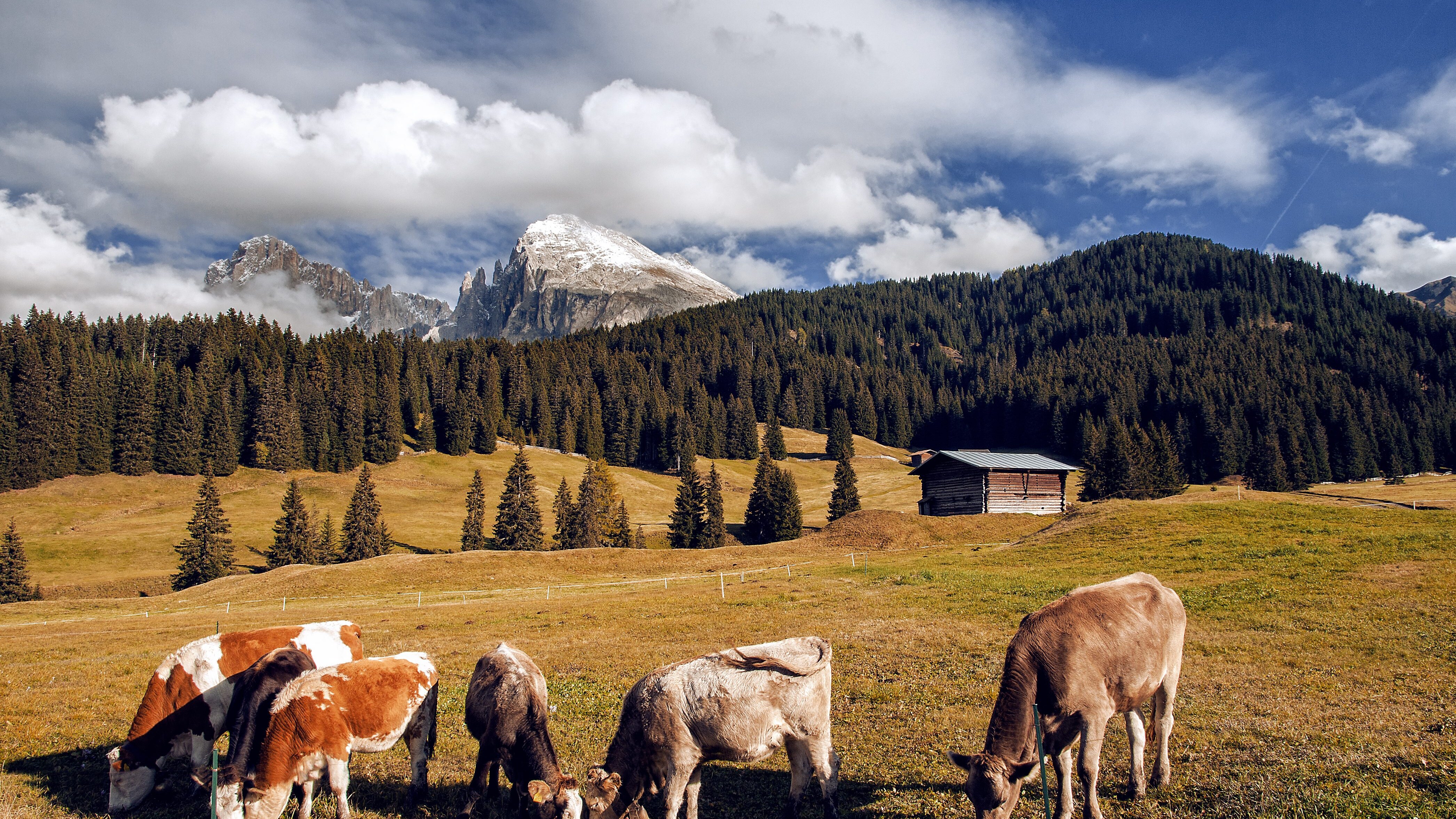 scuola per diventare malgari Alto Adige