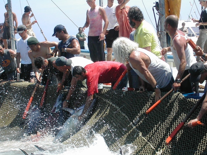 tonnara Favignana sicilia tonno Fishtuna