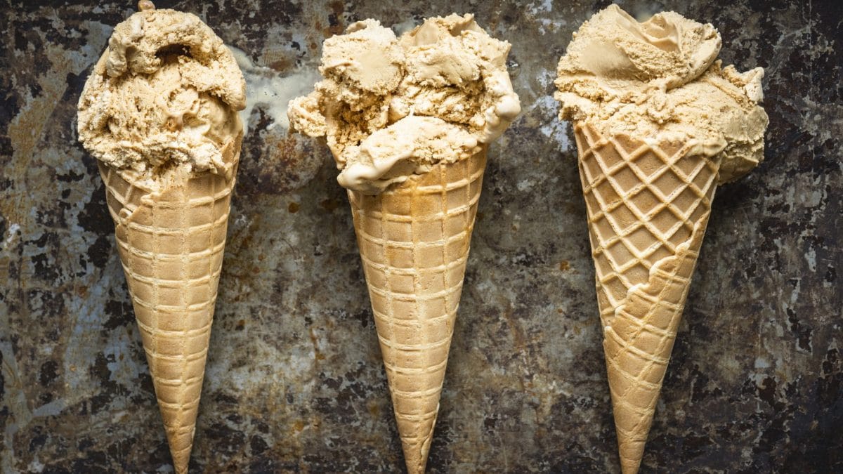 gelato-gastronomico-storia