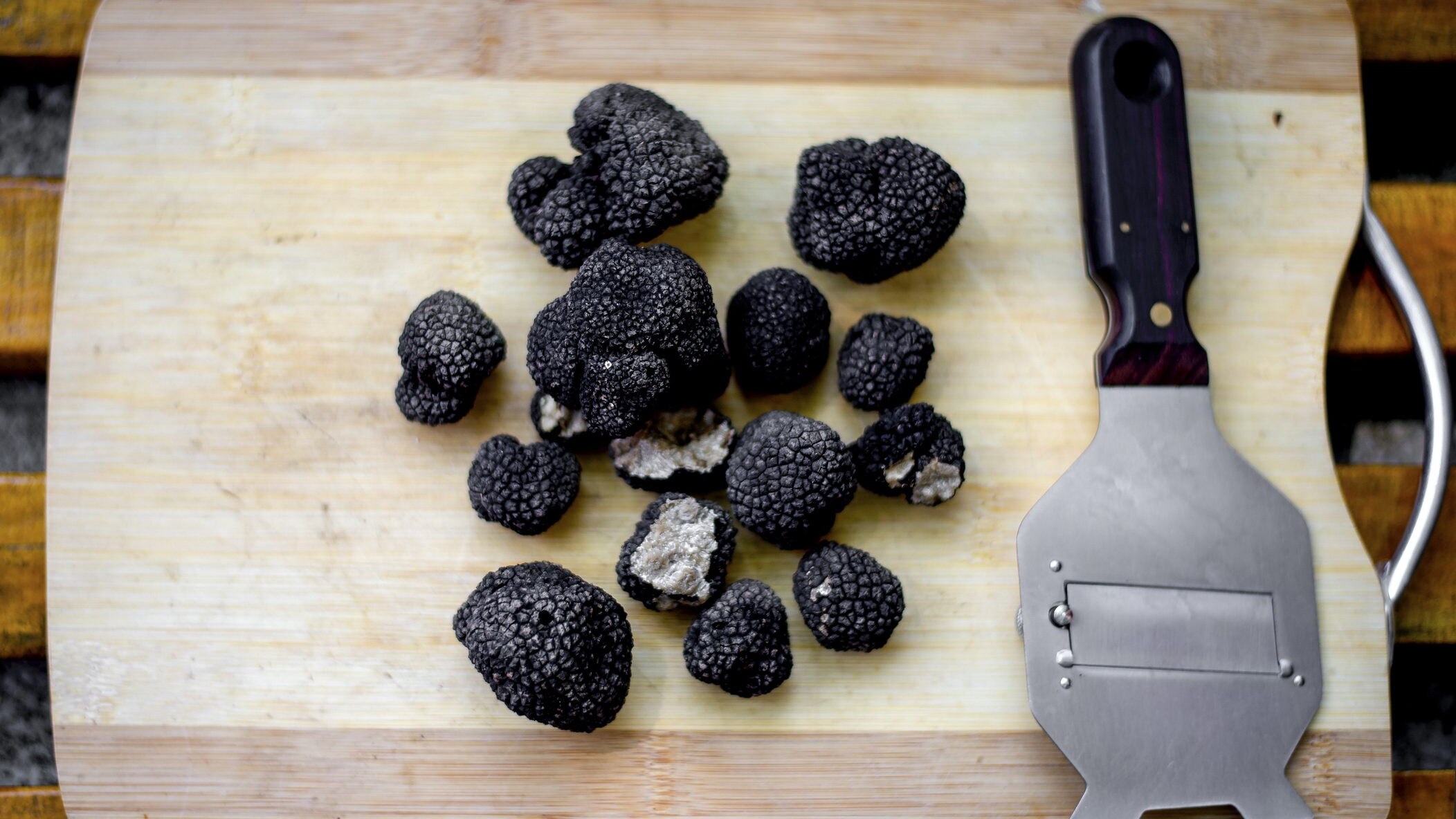 tartufo-nero-estivo