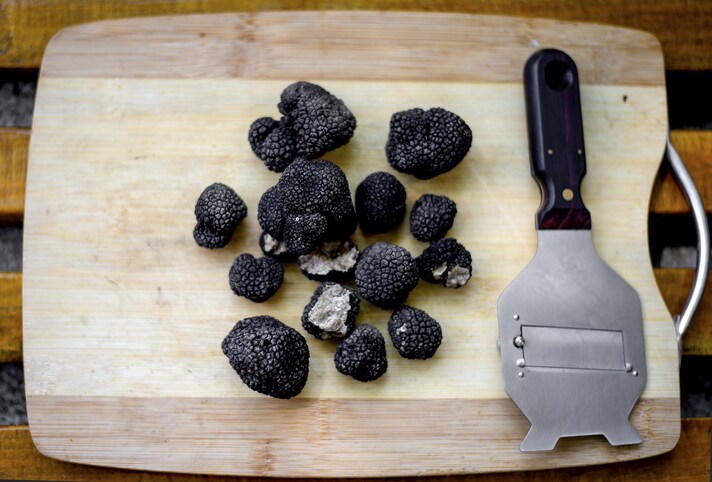 tartufo-nero-estivo