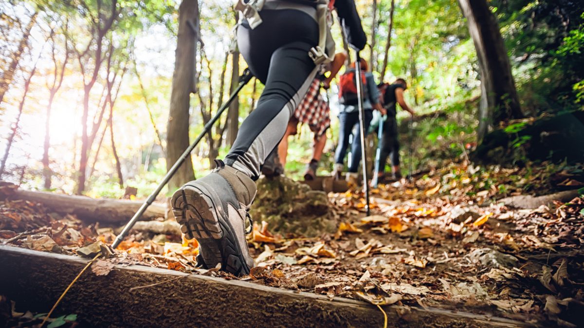 alpe adria trail guida ristoranti trekking