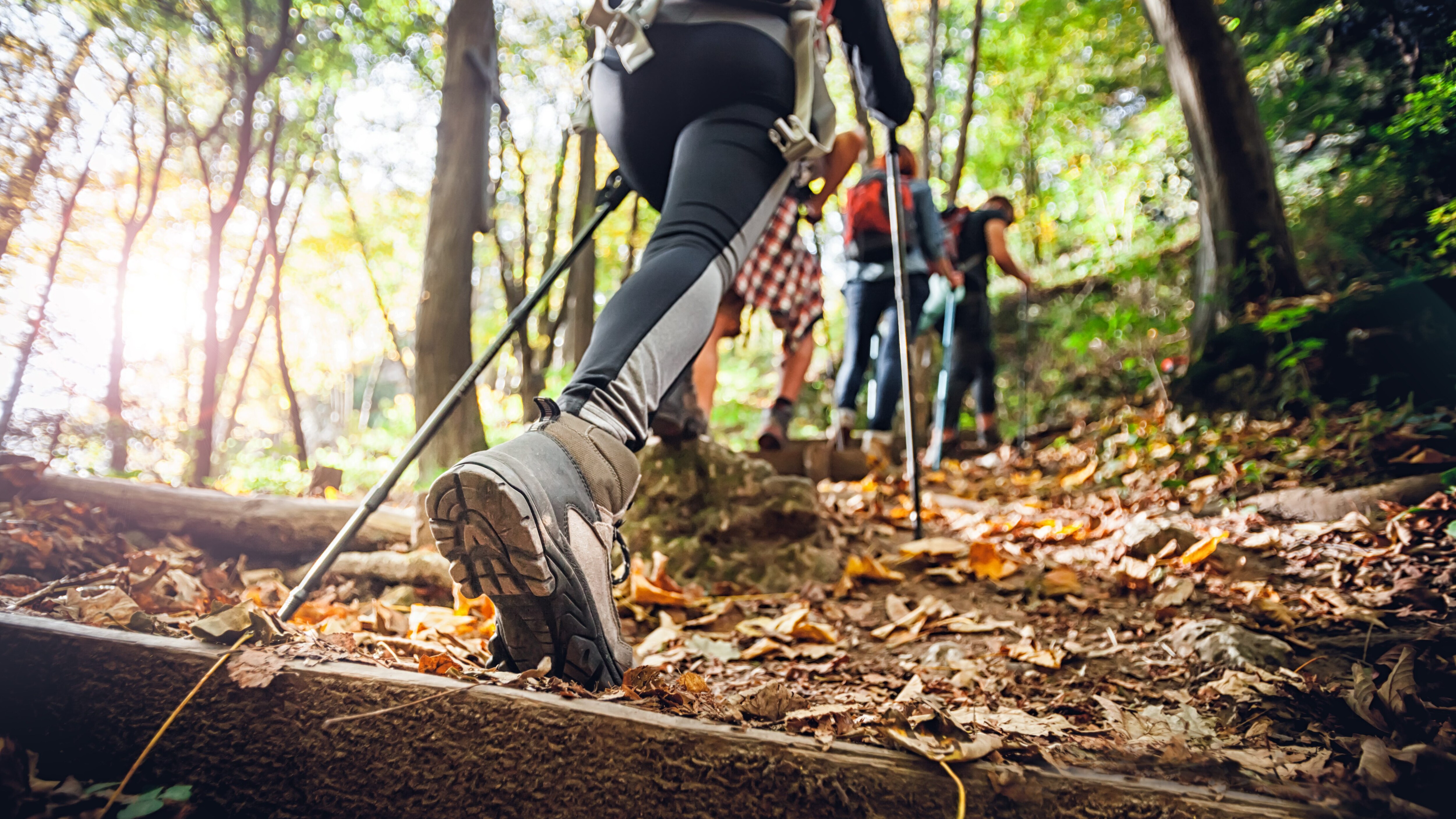 alpe adria trail guida ristoranti trekking