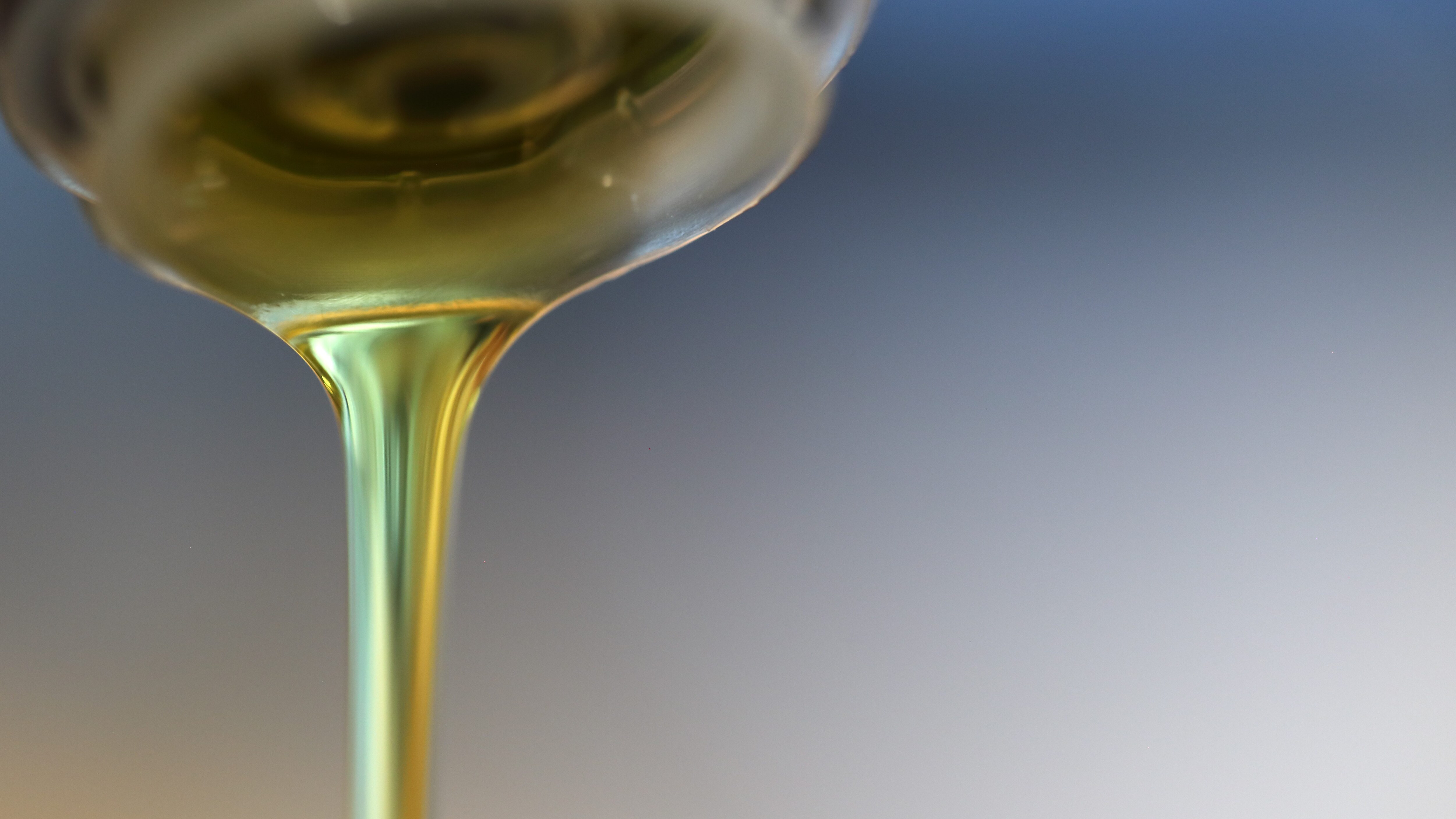 vino bianco est est est Montefiascone storia