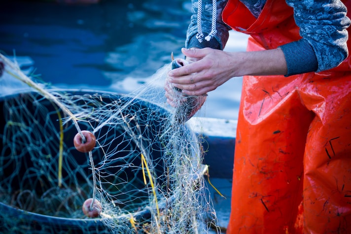 pesca pescatore reti