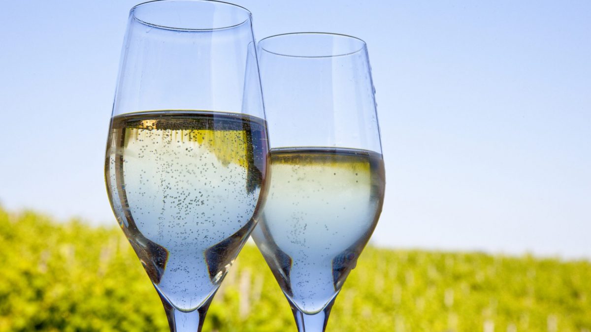 prosecco-prosek-che-succede