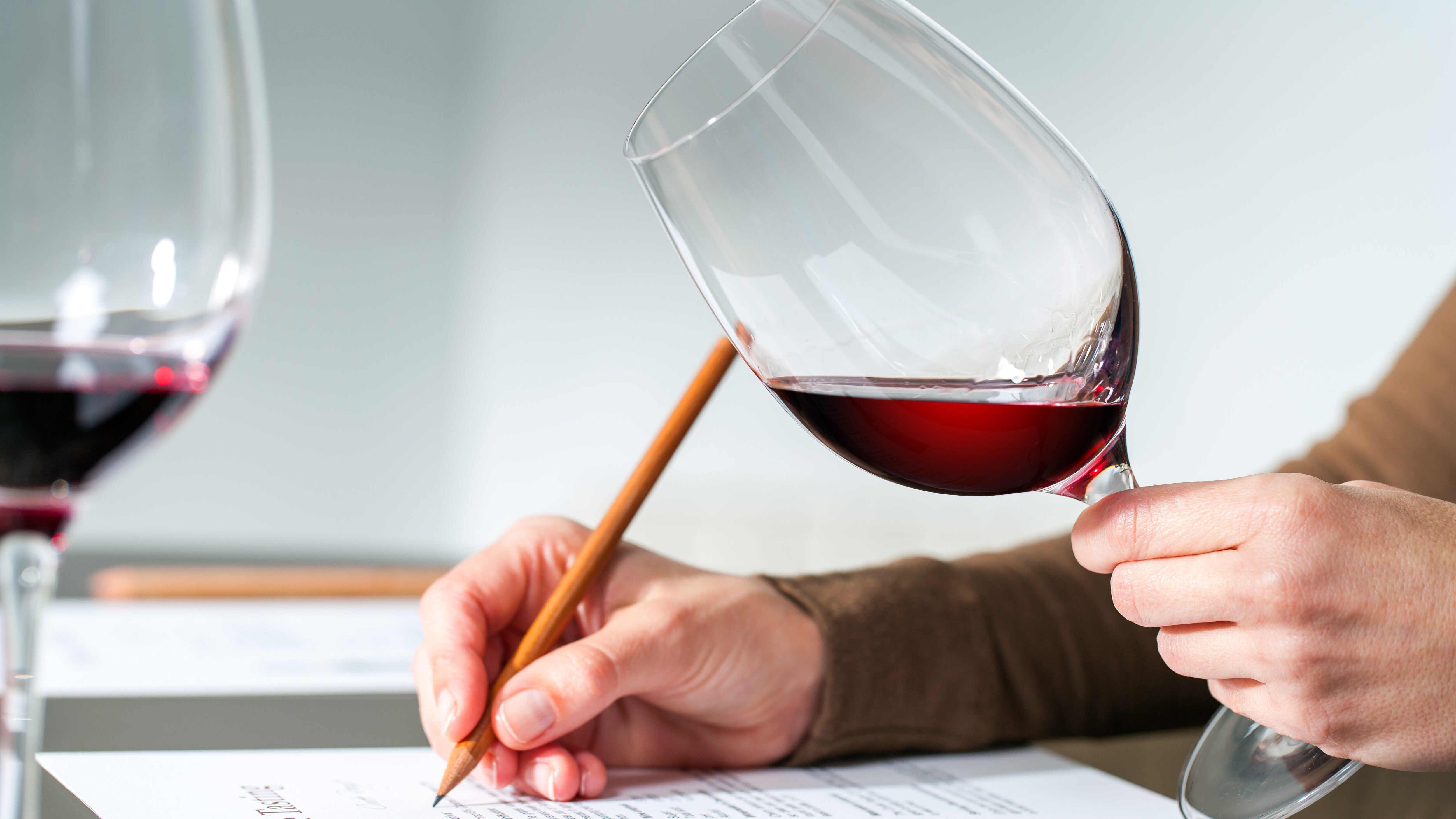 esame vino materia scolastica