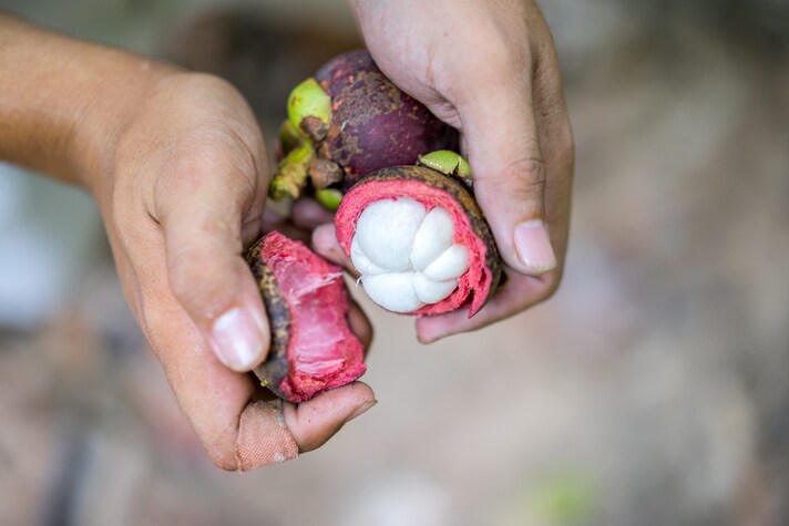 mangostano aperto