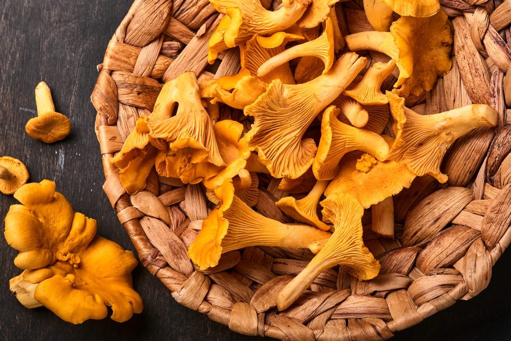 Rustico Finferli Finferli in padella: la ricetta
