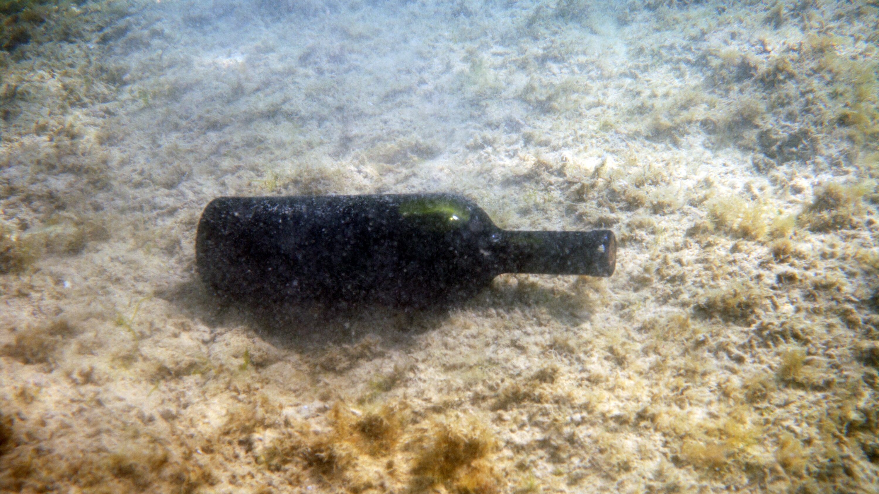 bottiglia di vino sott'acqua