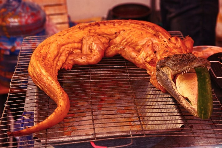 carne di coccodrillo allo spiedo
