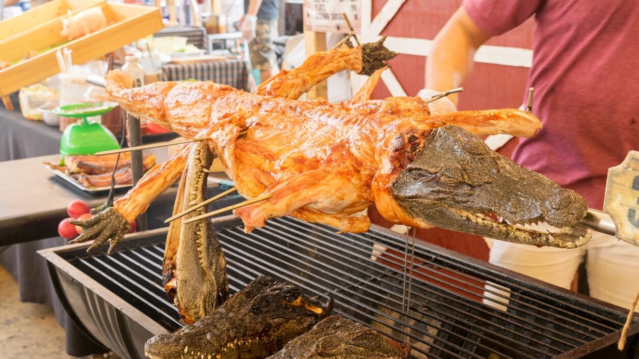 carne di coccodrillo spiedo brace