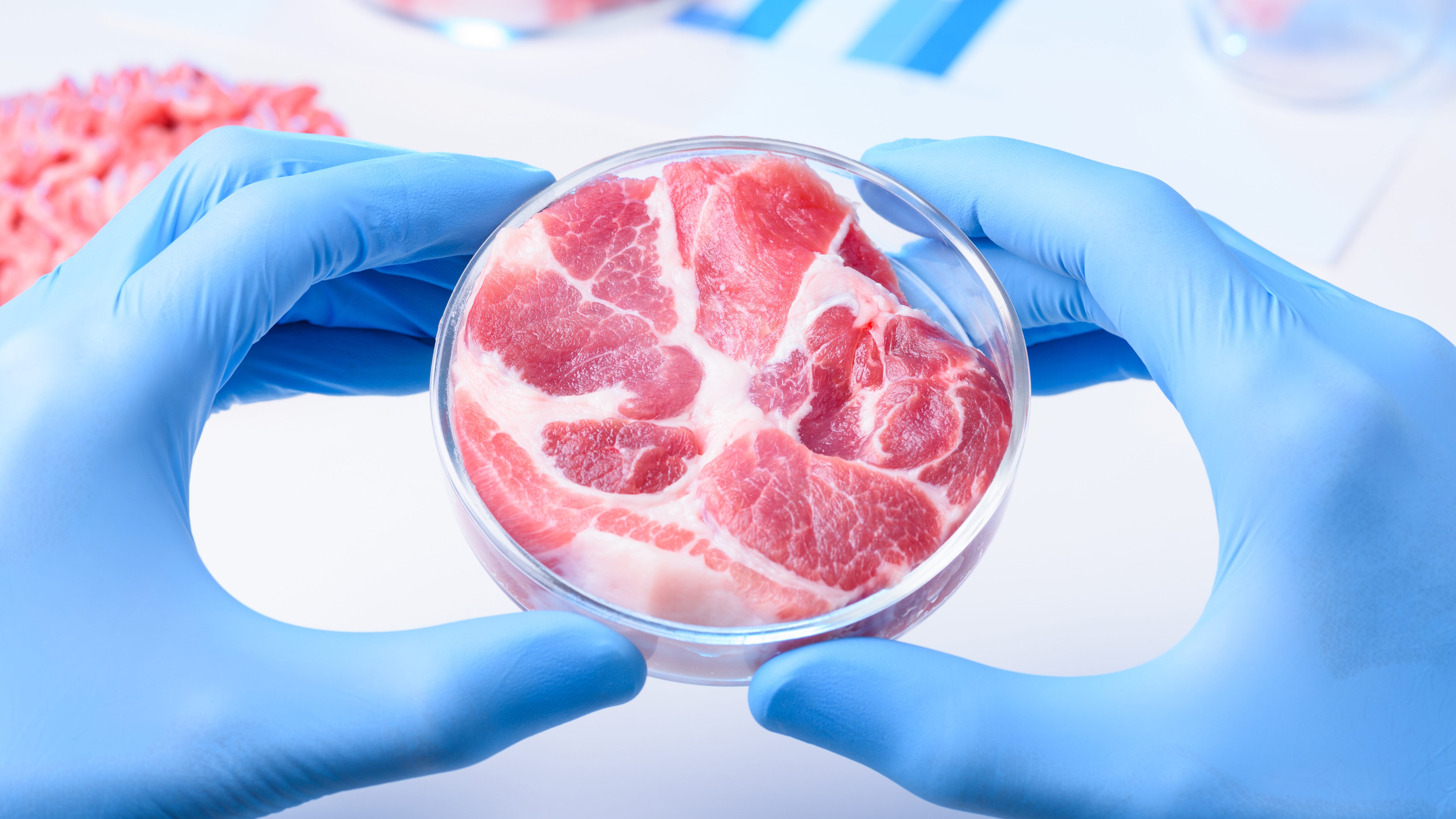 carne in laboratorio