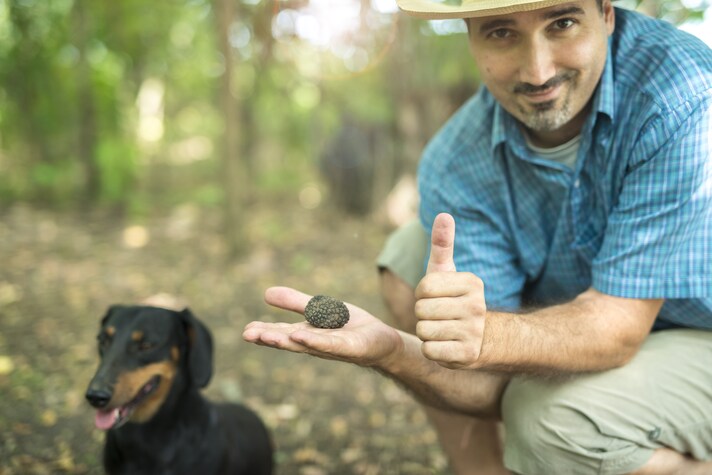 cercatore tartufo cane