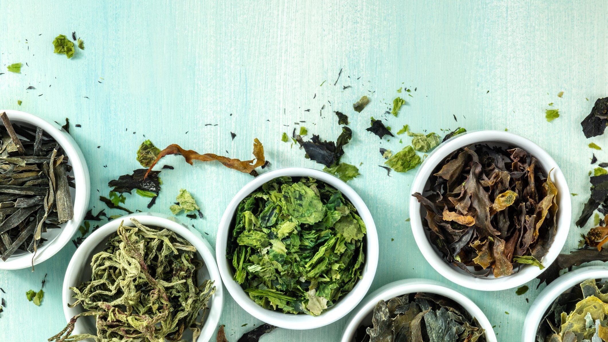 alghe-commestibili-cucina-tipologie-usi-storia