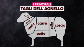 tagli-principali-agnello
