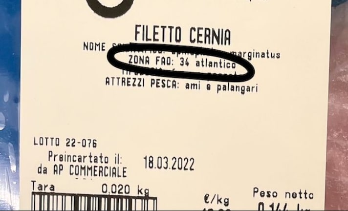 Immagine