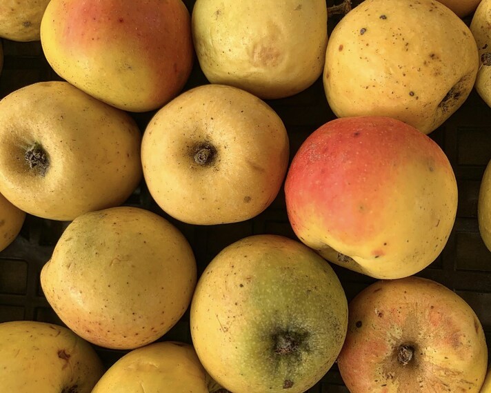 mele-frutti-dimenticati
