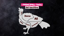 principali-tagli-tacchino