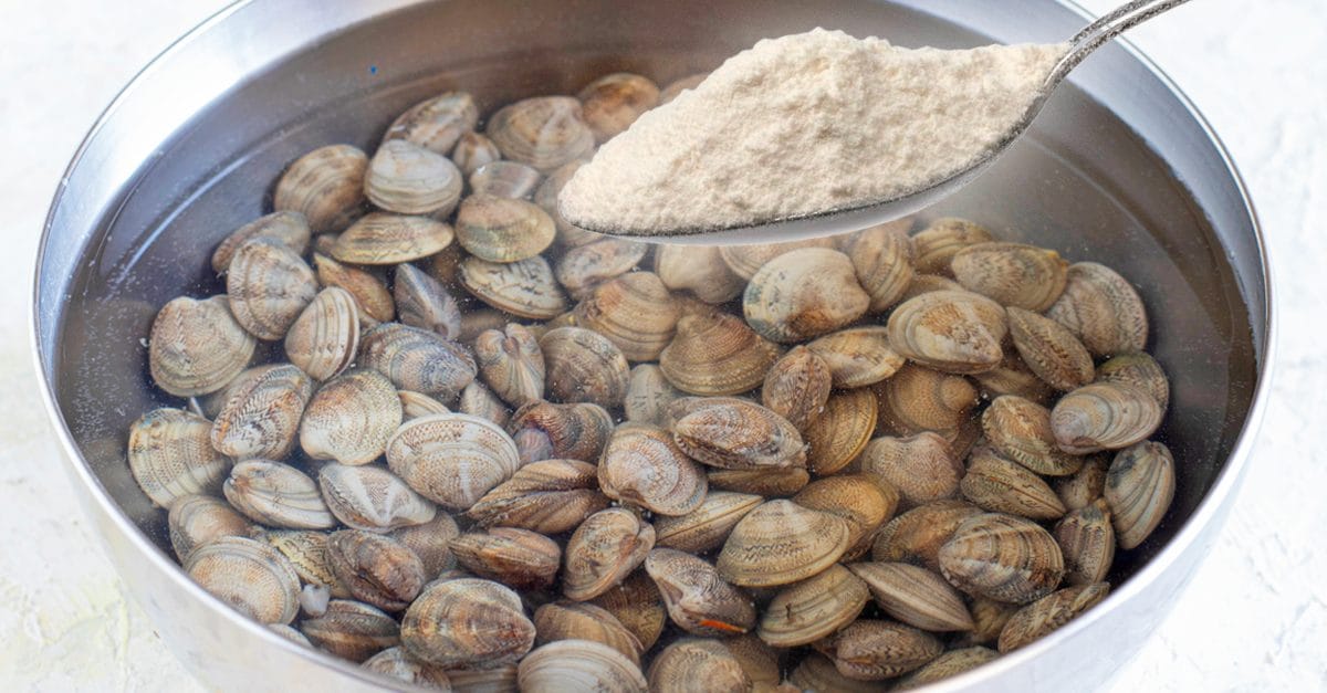 Come spurgare le vongole con la farina: il metodo infallibile