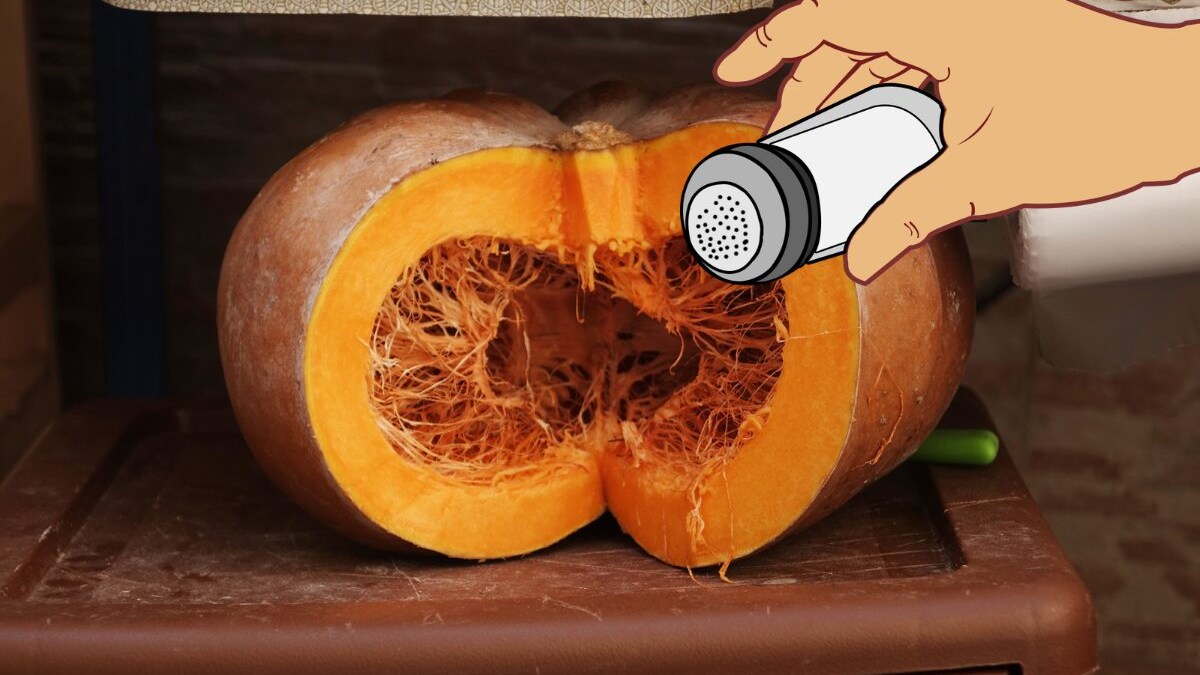sale-in-zucca