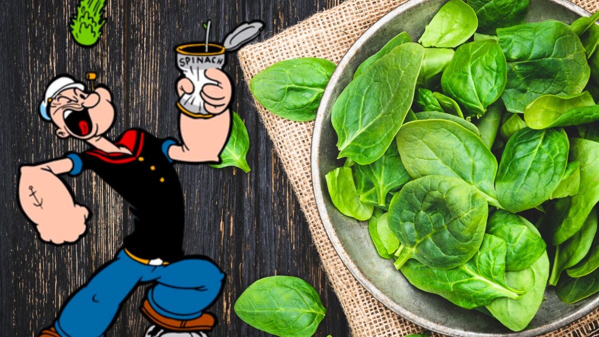 perchè-braccio-di-ferro-mangia-gli-spinaci