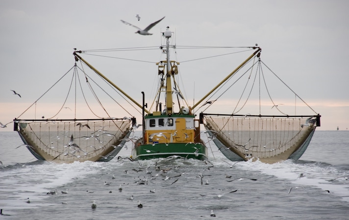 pesca-strascico-mediterraneo