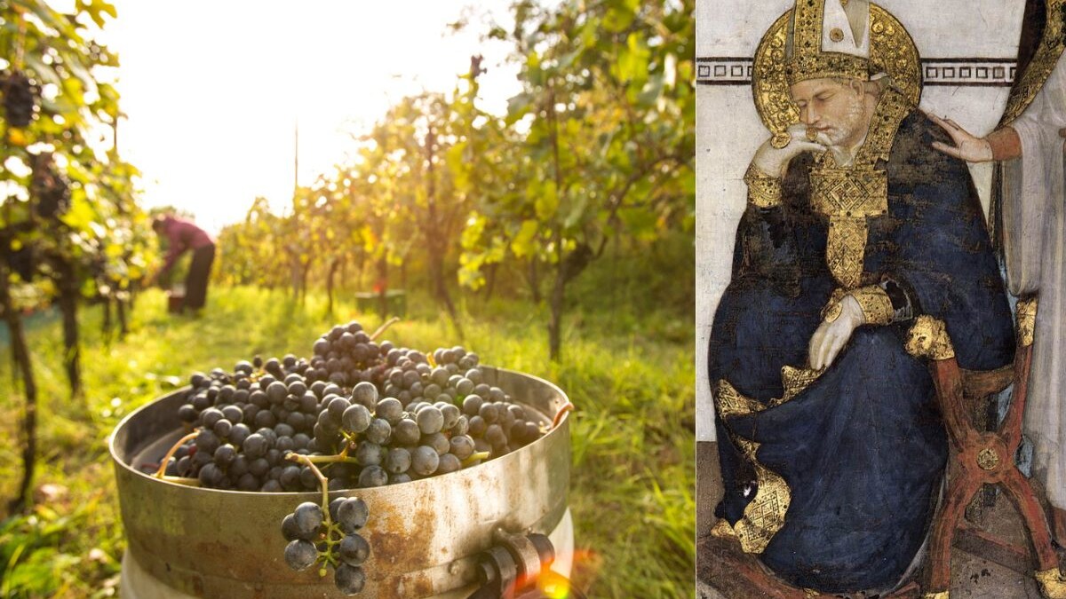 san-martino-ogni-mosto-diventa-vino