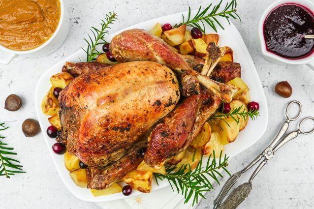 Storia del tacchino e del suo lungo viaggio dall'America all'Europa (e