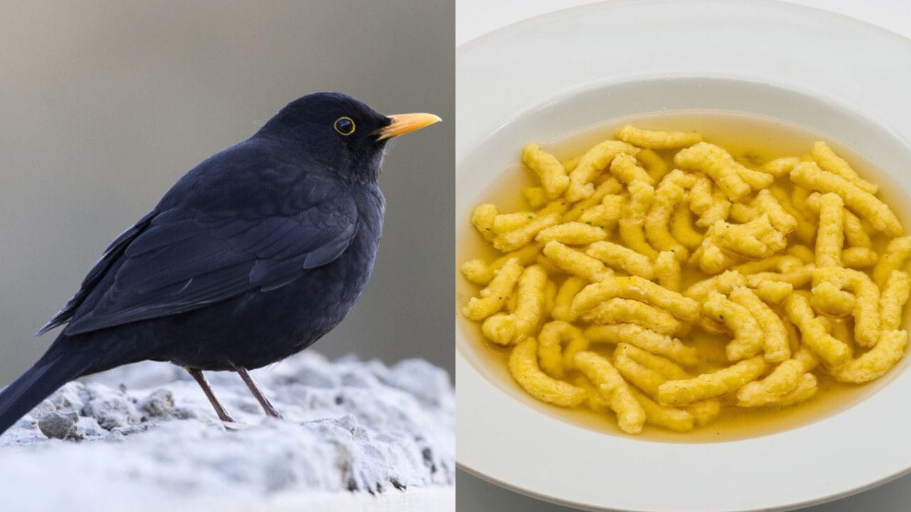 Giorni della merla: i piatti caldi per affrontare il periodo più gelido dell'anno