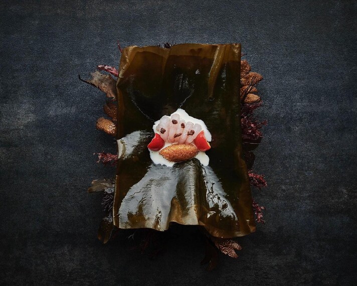noma-chiude