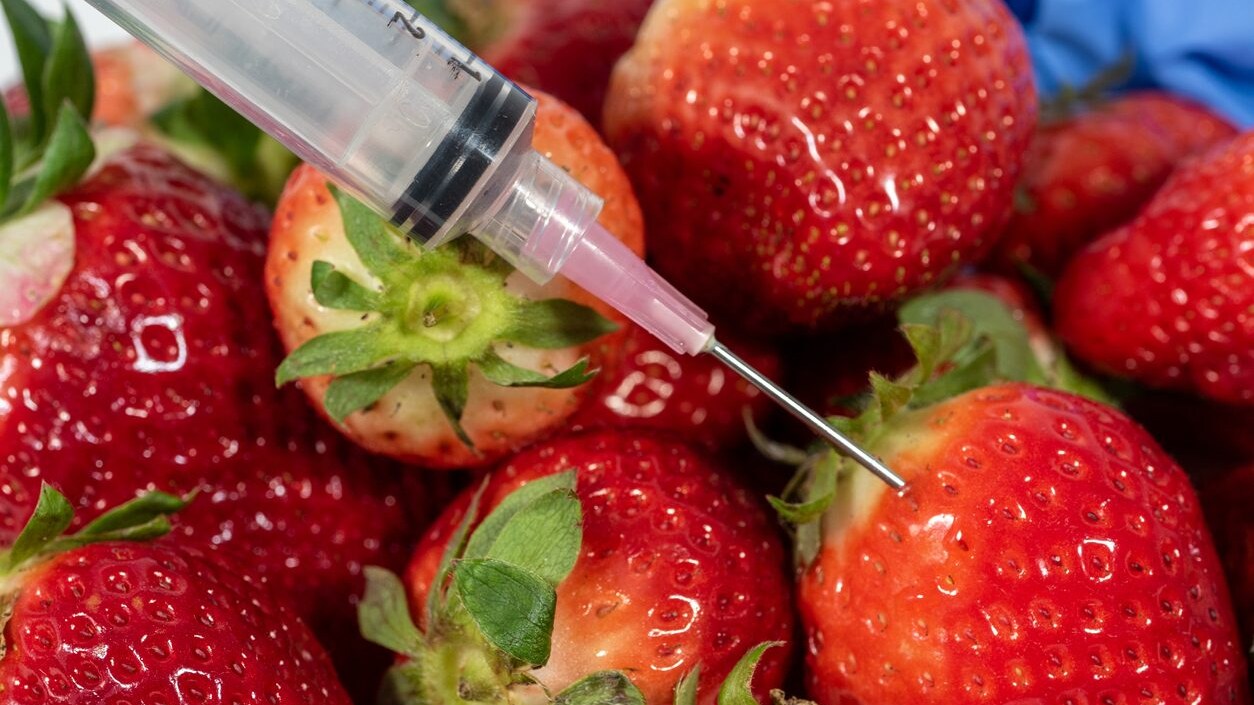 pericolo-pesticidi-fragole-spagna