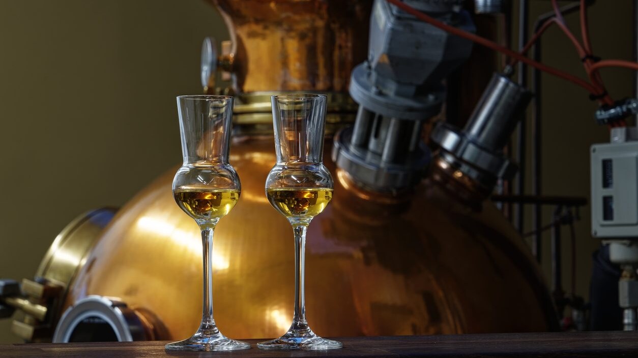 celiaci-cosa-possono-bere-alcol