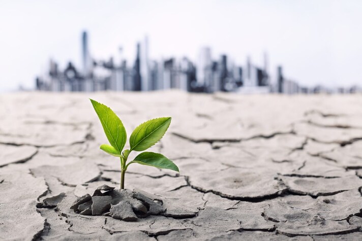 terreno-arido-cementificazione-agricoltura