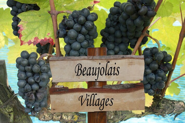Beaujolais-vini-estivi-rossi
