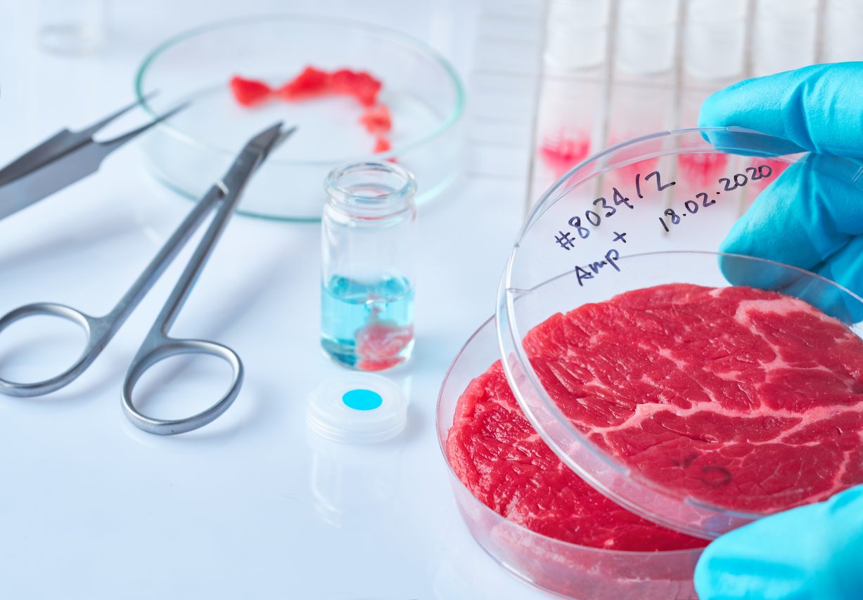 carne-coltivata-staminali-olanda
