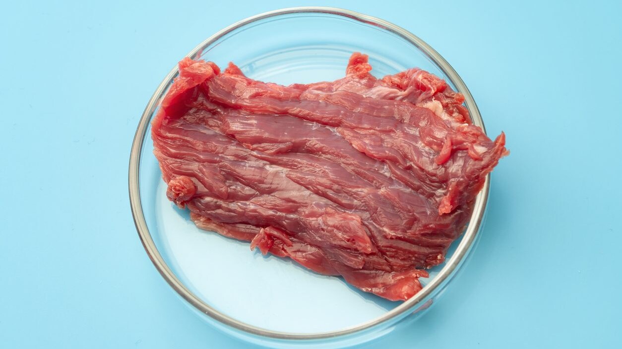 carne-coltivata-svizzera