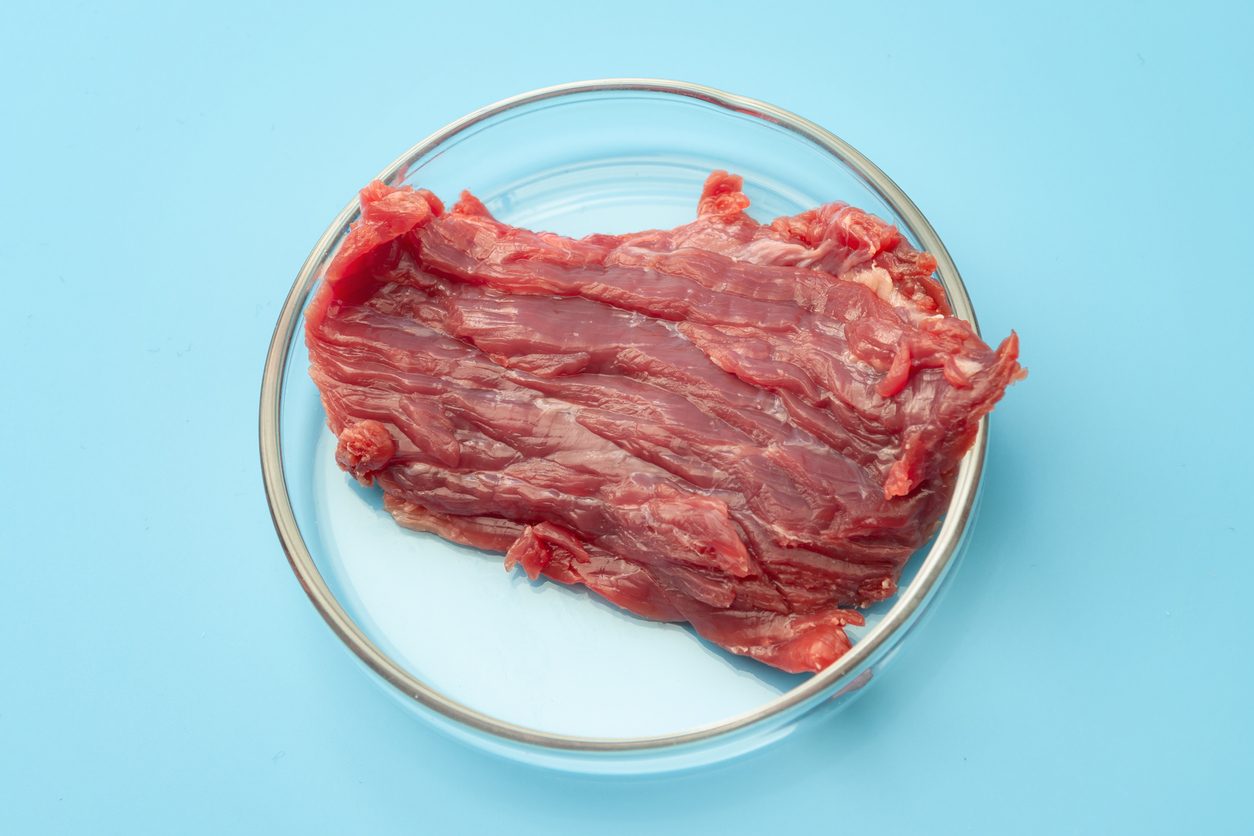 carne-coltivata-svizzera